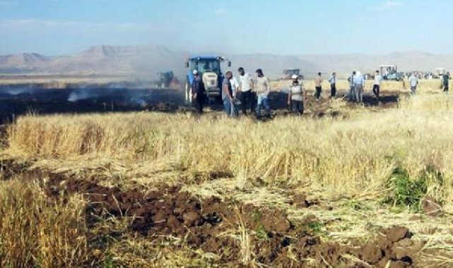 Mardin'de 200 dönüm ekili buğday yandı