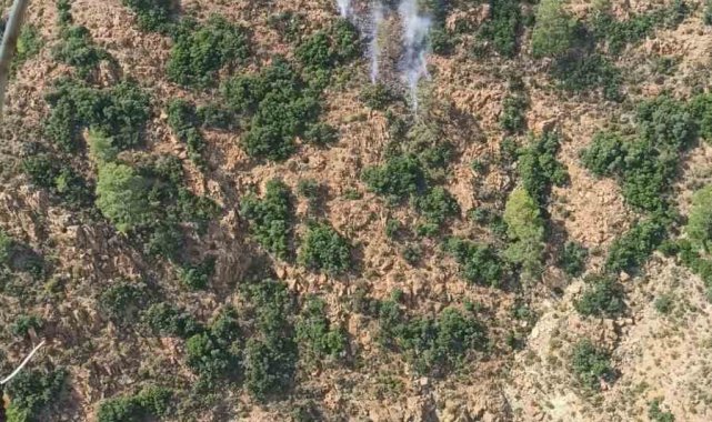 Marmaris'te orman yangını