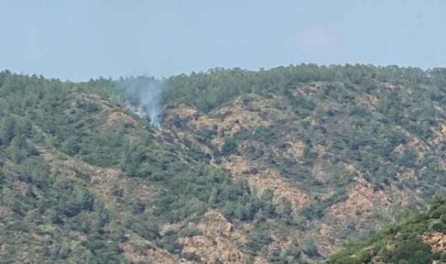 Marmaris'te orman yangını