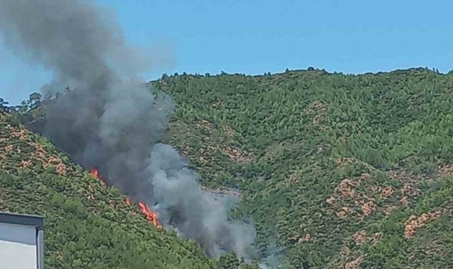 Marmaris'te orman yangını