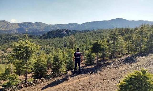 Muğla'da bazı bölgelerde ormanlara giriş yasaklandı