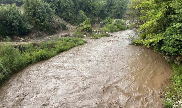 Muğla'da sağanak yağış etkili oldu