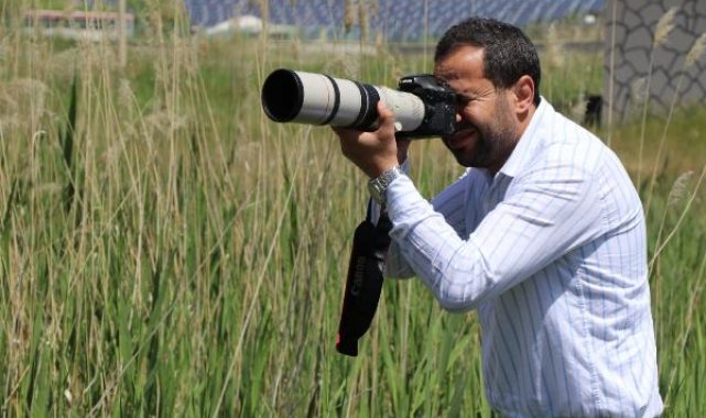 Nehil Sazlığı'ndaki yangın ve drenajlar kuş sayısını yüzde 50 azalttı