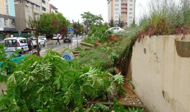 Otoparkın istinat duvarı çöktü, altında kalan ağaçlar yola devrildi