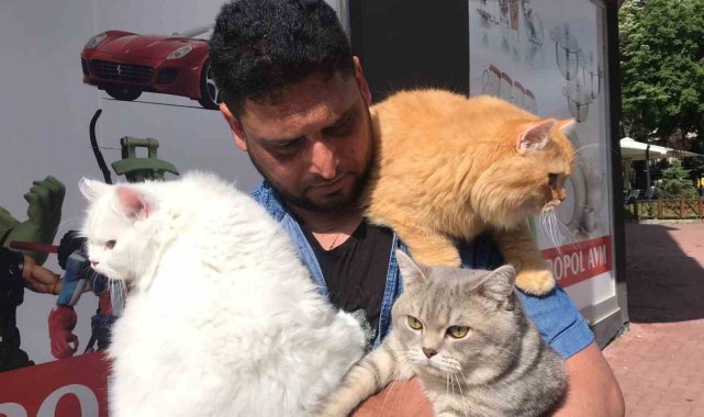 Pakistanlı bilgisayar mühendisi omuzunda ve kucağında gezintiye çıkardığı 4 kedisiyle ilgi çekiyor