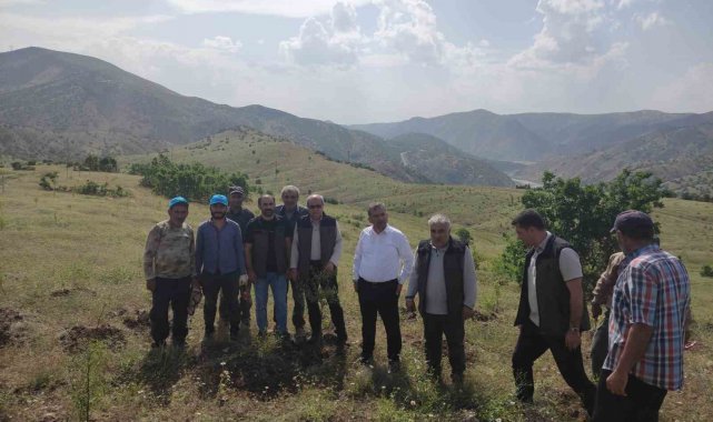 Palu'daki bademler yöre halkına gelir kapısı olacak