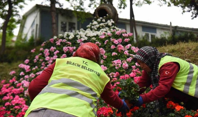 Park ve bahçelerde yapılan çalışmalarla Bilecik'i güzelleşiyor