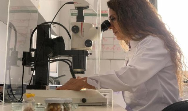 RTEÜ'lü bilim insanları Antarktika yolcusu