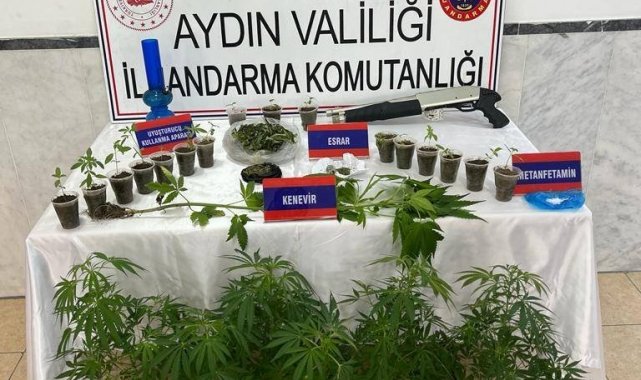 Saksıda 46 kök kenevir ele geçirildi