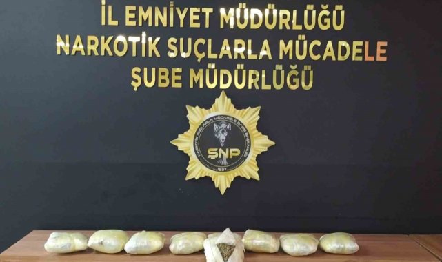 Şanlıurfa'da 20 kilo skunk ele geçirildi