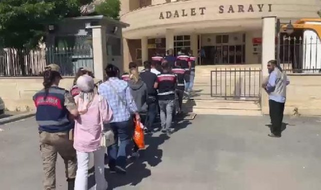 Şanlıurfa'da 'yeşil reçete' operasyonunda 6 tutuklama
