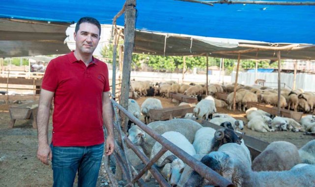 Seyhan'da kurban satış ve kesim yerleri belirlendi