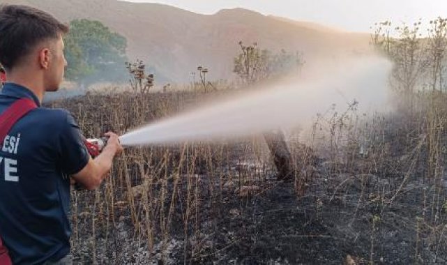 Siirt'te 65 dönüm ekili buğday tarlası yandı