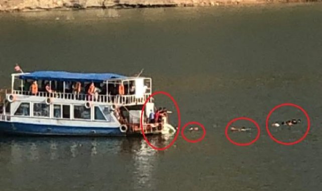 Siirt'te Ilısu Barajı havzasında sandal alabora oldu: 8 kişi kurtarıldı