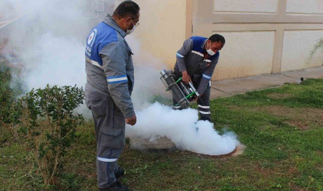 Sineksiz yaz için ilaçlama ordusu iş başında