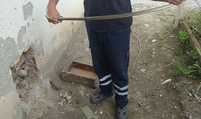 Su saatine giren yılan paniğe neden oldu