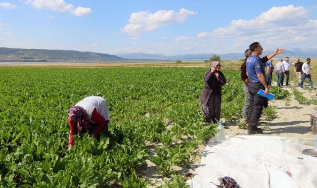 Tarlada çalışırken omzuna yorgun mermi isabet etti