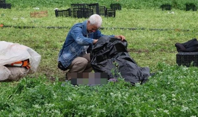 Tarlada çalıştığı sırada yıldırım isabet eden işçi öldü