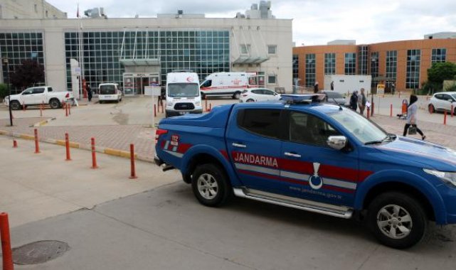 Tokat'ta ayı saldırısı 1 çocuk yaralı