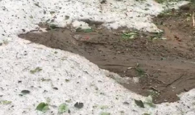 Tokat'ta sağanak ve dolu; cadde ve sokaklar suyla doldu, meyve ağaçları zarar gördü