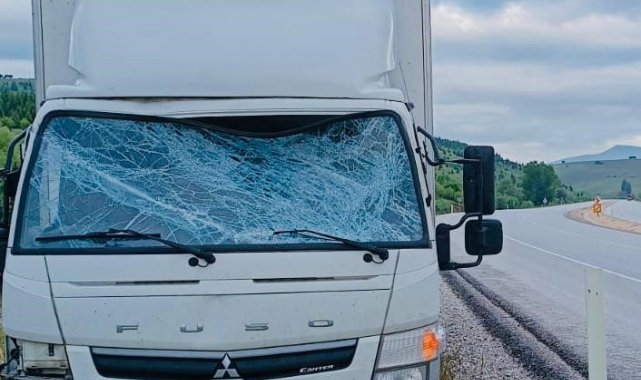 Trafik uyarı tabelasına çarpan kamyonet sürücüsü yaralandı