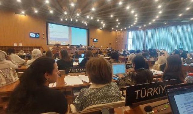Türkiye, kültür varlığı kaçakçılığı komitesine üye oldu
