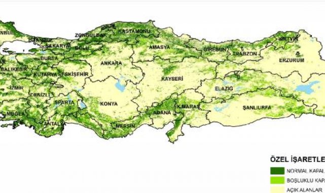 Türkiye'nin en yeşil kentleri