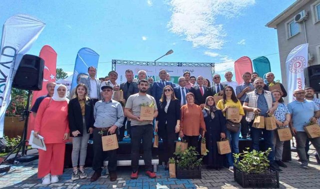 Üreticilere 'aronia' fidanı dağıtıldı