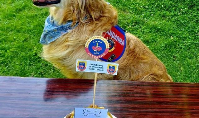 Uyuşturucu Madde Arama Köpeği 'Altın', emekli oldu