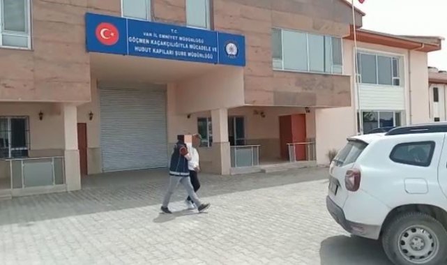 Van'da 1 organizatör tutuklandı