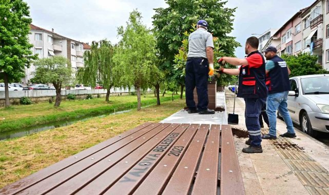 Yalova'da Vandallar iş başında