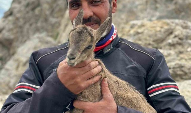 Yeni doğan yavru dağ keçisini gören motosiklet tutkunlarının heyecanı gülümsetti
