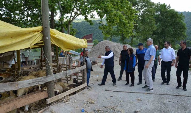 Yetkilerden kurban uyarısı: Cadde, sokak ve parkta kurban kesmek yasak
