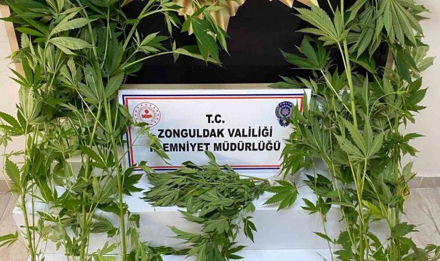 Zonguldak'ta uyuşturucu operasyonu