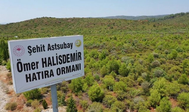 15 Temmuz Şehitleri ve Demokrasi Hatıra Ormanları'nda bugüne kadar 300 bin fidan toprakla buluşturuldu