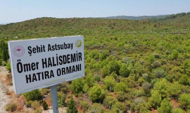 15 Temmuz şehitlerinin anısı hatıra ormanlarında yaşıyor