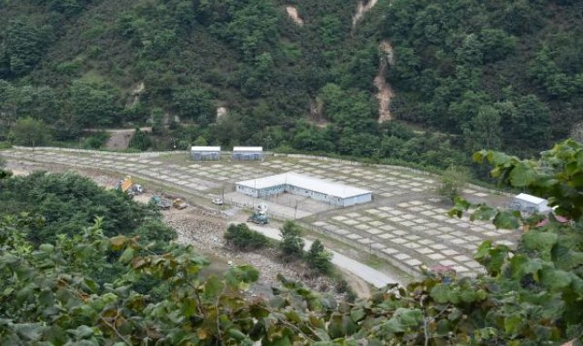 'Asrın felaketi', fındığı da vurdu