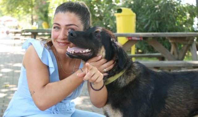 'Zeytin', Zonguldak'tan Almanya'ya sahiplendirildi