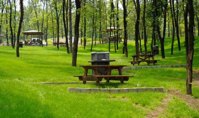 700 yıllık Osmanlı Köyü'ne devasa Orman Parkı