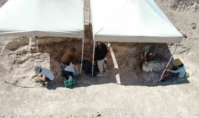 7,5 milyon yıllık kazılarda insan arayışı devam ediyor