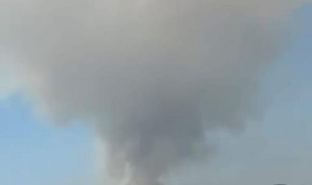 Adana'da orman yangını