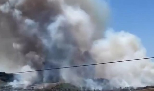 Adana'da orman yangını