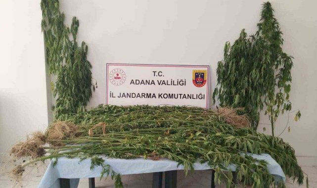 Adana'da uyuşturucu ile mücadele 14 şahıs yakalandı
