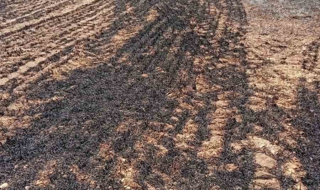 Anız yangınında 2 dekar alan zarar gördü