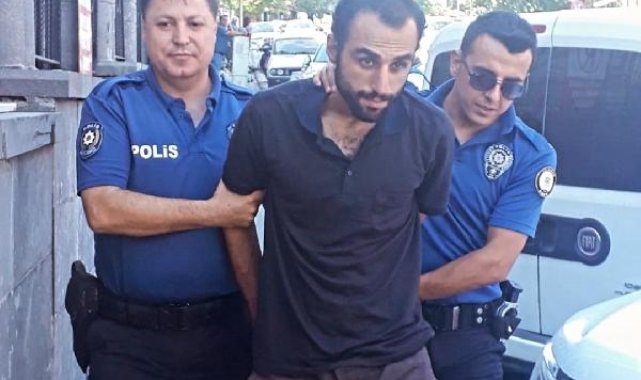 Annesi ve kardeşini dövüp, evdeki 4 kediyi öldürdü