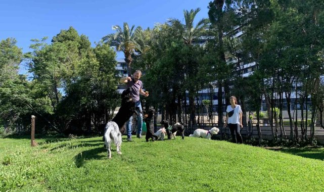 Antalya Büyükşehir Belediyesince yenilenen köpek parkı hizmete girdi