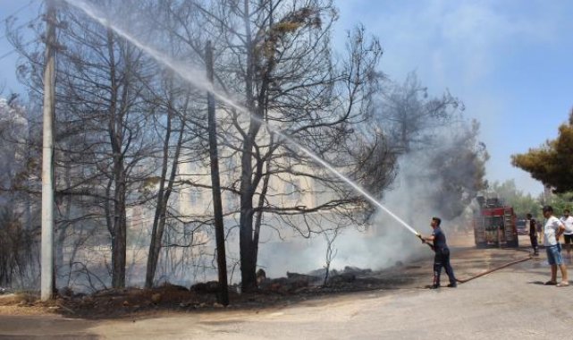 Antalya'da ağaçlık alandaki yangın, evlere ulaşmadan söndürüldü