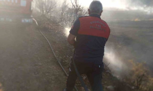 Arazide başlayan yangın ormanlık alan sıçramadan söndürüldü