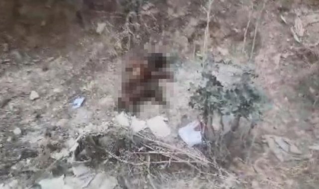 Ayaklarını kestikleri yavru köpeği yakıp, yol kenarına attılar