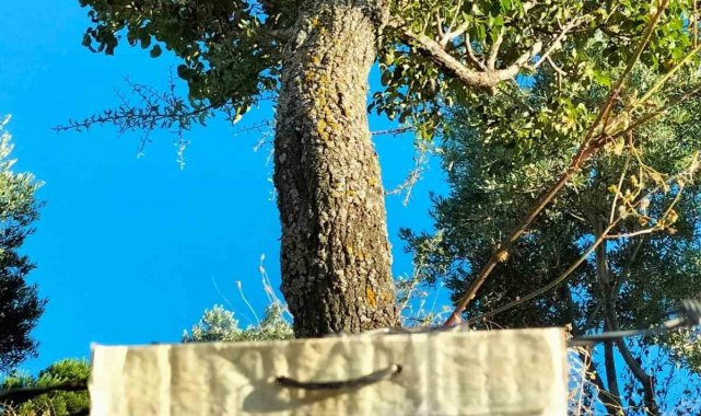 Aydın'da paylaşmanın önemini gösteren not